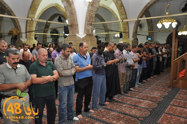 7san bek jsh (11).JPG